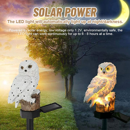 Solar Owl Courtyard Lawn Garden Decorative Light🦉✨