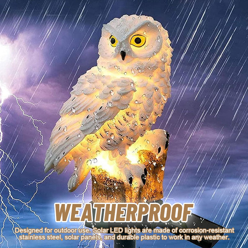 Solar Owl Courtyard Lawn Garden Decorative Light🦉✨