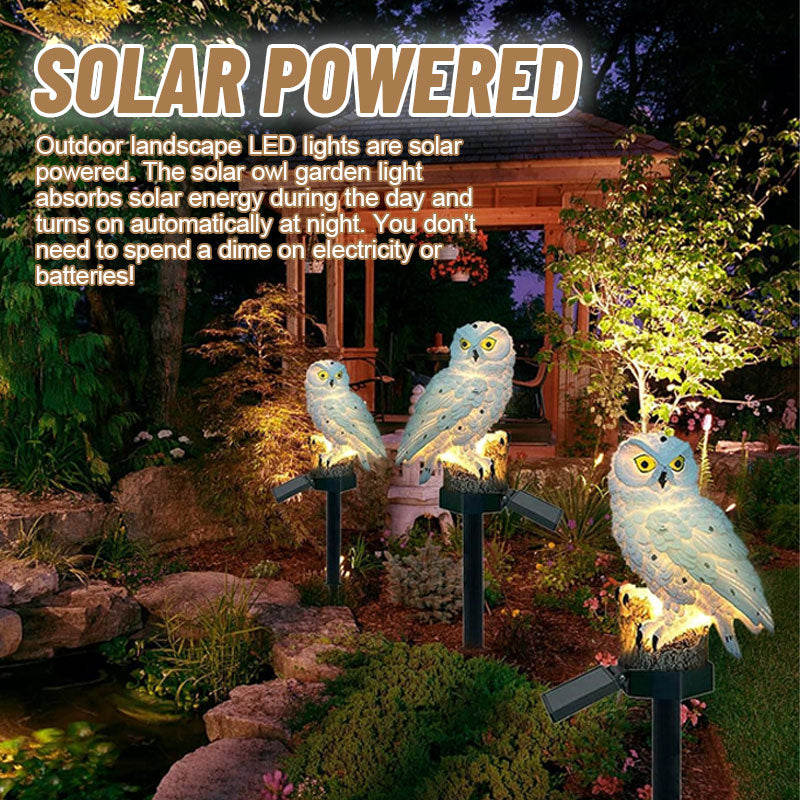 Solar Owl Courtyard Lawn Garden Decorative Light🦉✨