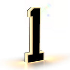 🎁✨Solar-powered outdoor illuminated door number