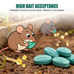 🔥Buy 1 Get 1 Free — Today Only！🐀High-Potency Rodent Bait