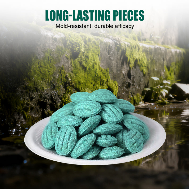 🔥Buy 1 Get 1 Free — Today Only！🐀High-Potency Rodent Bait